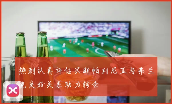 热刺认真评估买断帕利尼亚与弗兰克良好关系助力转会