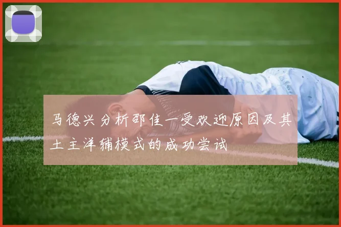 马德兴分析邵佳一受欢迎原因及其土主洋辅模式的成功尝试