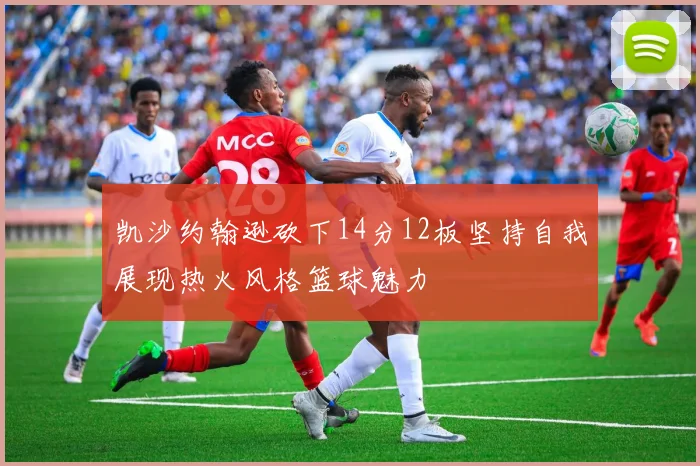 凯沙约翰逊砍下14分12板坚持自我展现热火风格篮球魅力