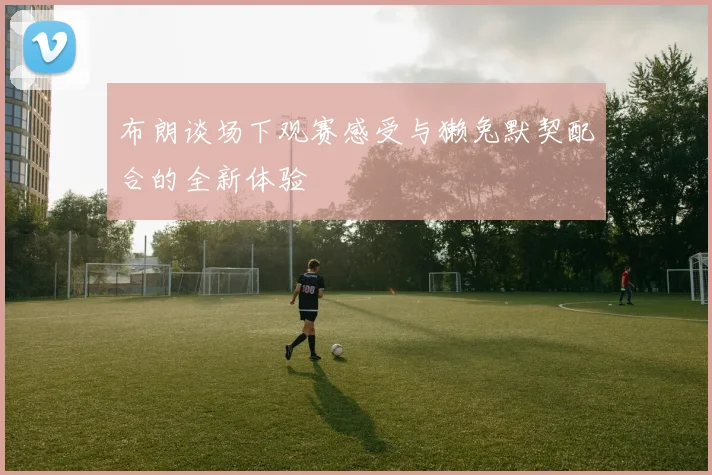 布朗谈场下观赛感受与獭兔默契配合的全新体验
