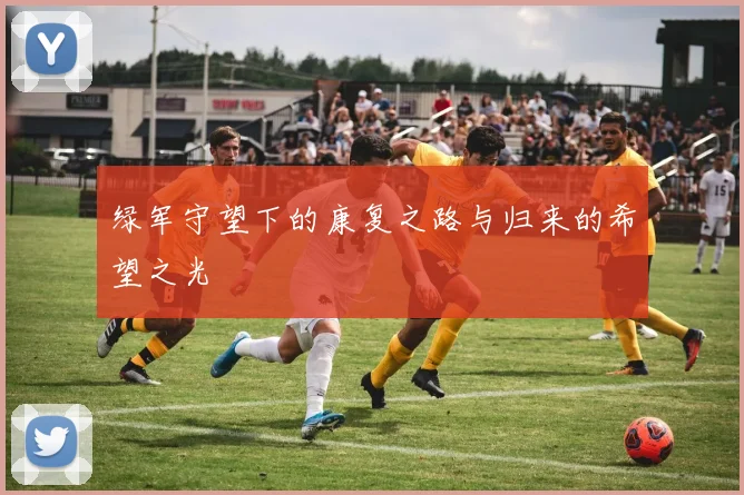 绿军守望下的康复之路与归来的希望之光
