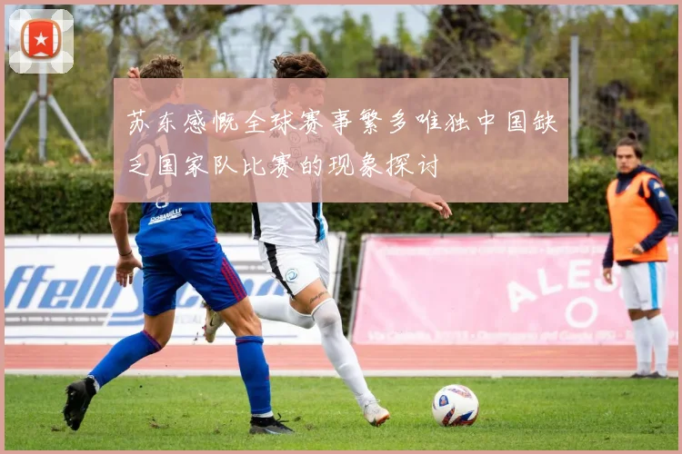 苏东感慨全球赛事繁多唯独中国缺乏国家队比赛的现象探讨